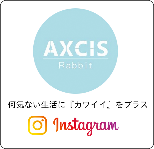 インスタグラム